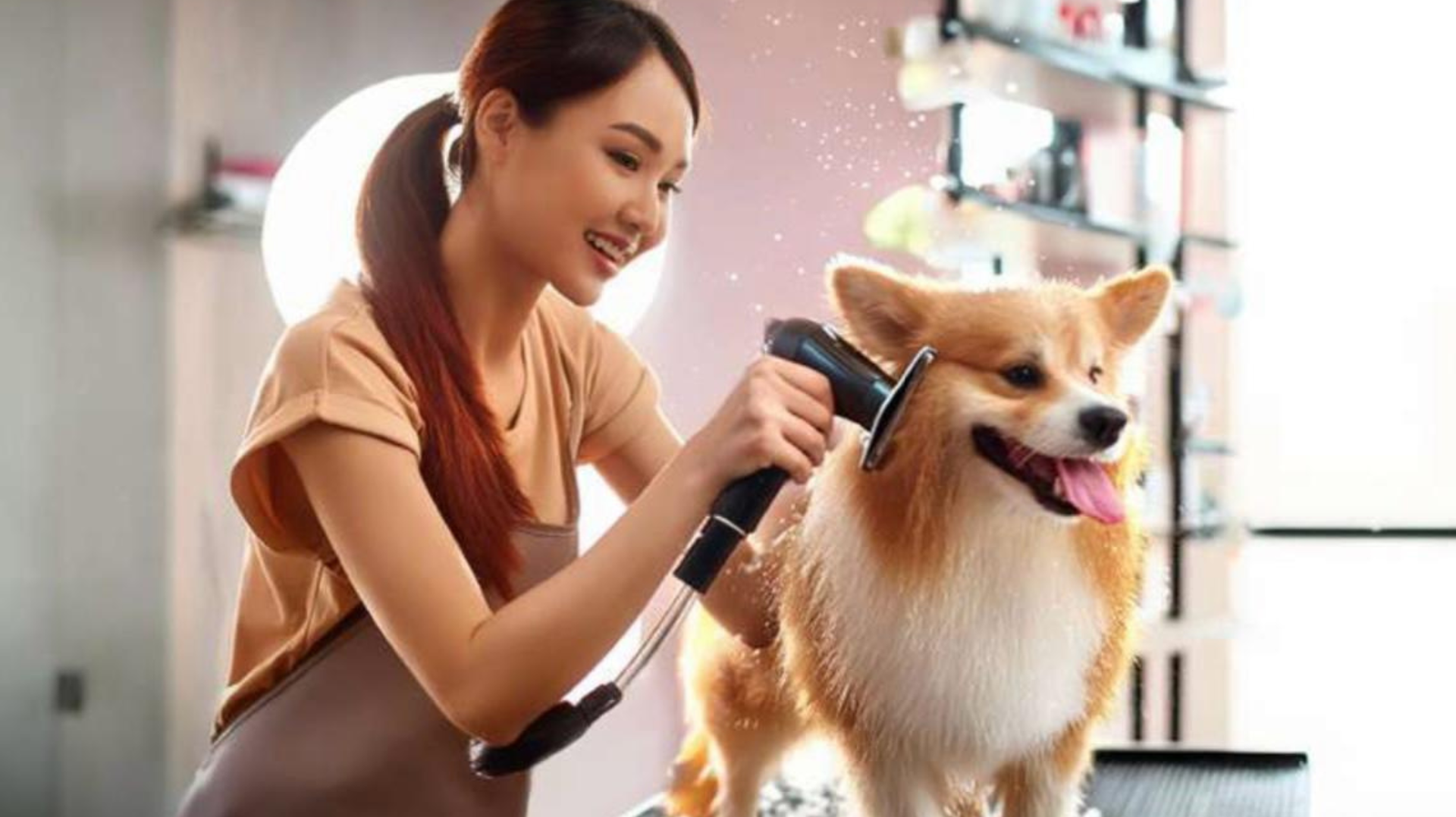 Nyisiran Dogie
