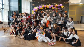 img-silver-poodles-halloween-party